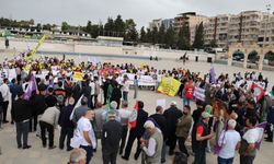 Şanlıurfa’da 1 Mayıs Coşkusu: TMMOB’dan Barış ve Özgürlük Mesajı