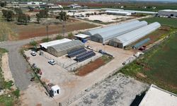 Şanlıurfa Belediyesi’nden Tarımda Örnek Proje!