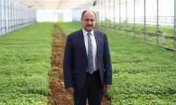 Şanlıurfa Tarımda Lider Olma Yolunda!