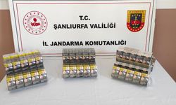 Şanlıurfa'da Jandarma Operasyonu!