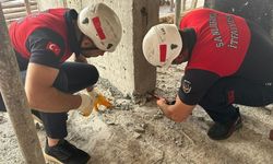 Şanlıurfa'da mucize kurtuluş!