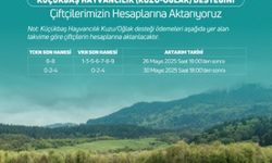 Şanlıurfalı Küçükbaş Yetiştiricilerine Müjde: Destek Ödemeleri Başladı