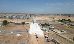 Şanlıurfa'nın Gizli Köşesi Tatlıca'da Büyük Hareketlilik!