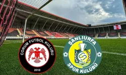 Şanlıurfaspor 2. Lig'e Düştü