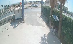 Şanlıurfa’da Sokak Köpeği Zincirleme Kazaya Yol Açtı!