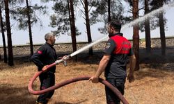 Suruç'ta Yeşil Alan Kara Dumanlara Gömüldü!