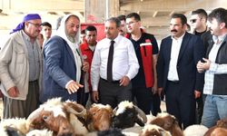 Vali Şıldak’tan Şanlıurfa’ya Bayram Mesajı ve Uyarılar!