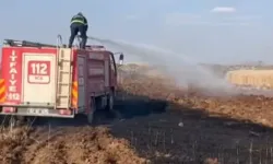 Şanlıurfa’da 170 Dönüm Buğday Tarlası Kül Oldu!