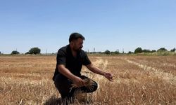 Anız Yakmak Toprağı Tüketiyor: Verim Yüzde 30’a Kadar Düşüyor