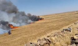 Şanlıurfa Viranşehir'de Felaket: Buğday Tarlasındaki Yangında Bin Dönüm Küle Döndü!