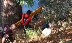 Balık Keyfi Kabusa Döndü!