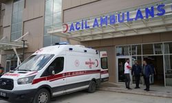 Besin Zehirlenmesi Alarmı: Yaz Aylarında Nelere Dikkat Etmeliyiz?