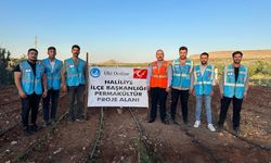 Ülkü Ocakları Haliliye İlçe Başkanlığı’ndan Permakültür Atağı