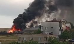 Kocaeli'de Korkutan Yangın!