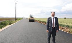 Harran Ovası Şimdi Bir Başka Güzel!