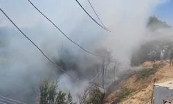 Şanlıurfa Birecik’te İzmarit Faciası!