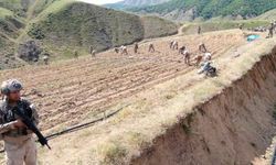 Şanlıurfa Destekli Dev Operasyon!