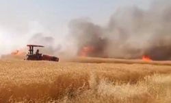 Şanlıurfa Harran’da Dev Tarla Yangını!
