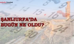 Şanlıurfa'da 11 Haziran 2025 günü neler oldu ?