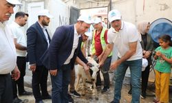 Şanlıurfa’da Örnek Sosyal Hizmet!