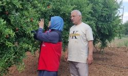 Şanlıurfa Kısas’ta Zeytin ve Bağ Bahçelerine Tarımsal Denetim