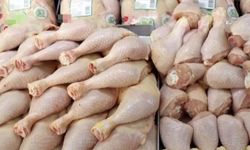TÜİK Verileri: Tavuk Eti Üretimi Arttı, Yumurta Üretimi Geriledi