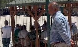 Şanlıurfa'da Veliler sıcakta Bahçede Bekledi, Öğrenciler klimasız Sıcak Sınıflarda Ter Döktü