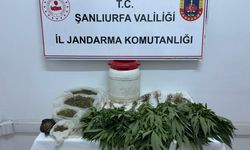 Şanlıurfa’da Narkotik Operasyon: Zanlı Gözaltında!