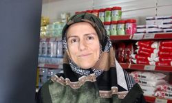 Sivas’ta Ayılar Mahalleye Gelince Halkın Tepkisi Merak ve Tedirginlik Oldu