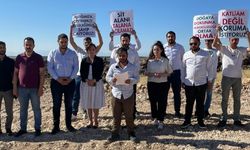Şanlıurfa'nın Karaköprü İlçesinde Sit Alandaki Ağaç Kesimine Tepkiler Sürüyor