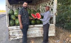 Suruç Ovası’nda Karpuz Krizi: Çiftçi Zararda