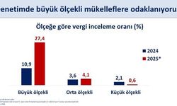 Mehmet Şimşek’ten vergi denetimi grafiği: Büyük mükellefler mercek altında