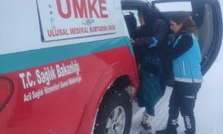 Şanlıurfa Viranşehir’de Karla Kaplı Yollarda Hayat Kurtaran Müdahale!