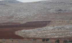 Güneydoğu’da 50 Bin Dekar Taşlık Arazi Tarıma Kazandırılacak!