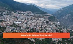 Artvin'in En Gelişmiş İlçesi Hangisi?