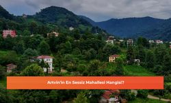 Artvin'in En Sessiz Mahallesi Hangisi?