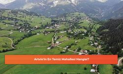 Artvin'in En Temiz Mahallesi Hangisi?