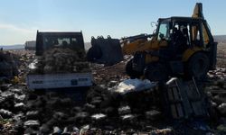 Şanlıurfa Eyyübiye’de Depo Denetimi: 8 Bin Şişe Bozuk Meşrubat Ele Geçirildi!