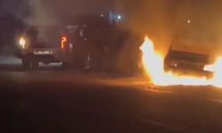 Şanlıurfa’nın Harran İlçesinde Şaşkına Çeviren Olay!