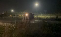 Diyarbakır-Şanlıurfa Yolunda Feci Kaza: 1 Ölü, 4 Yaralı