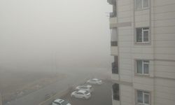 Şanlıurfa’da Sis Ve Yağmur Etkisini Sürdürüyor