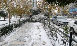 5 Yıl Sonra Gelen Kar Şanlıurfa’da Günlük Hayatı Etkiledi!