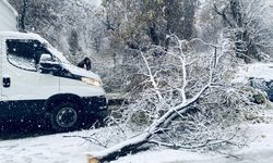 Şanlıurfa Birecik’te Kar Nedeniyle Zor Anlar!