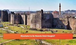 Diyarbakır'ın En Huzurlu Köyü Hangisi?