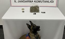 Şanlıurfa’da Narkotik Operasyonu: Uyuşturucu Madde Ele Geçirildi