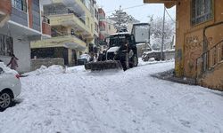 Haliliye Belediyesi’nden Kar Seferberliği: Yollar Açık Tutuluyor
