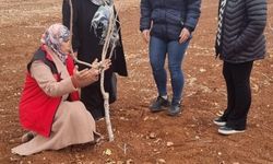 Şanlıurfa Eyyübiye’de Fıstık Bahçesi İçin Kış Mücadelesi Tavsiyesi!