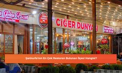 Şanlıurfa'nın En Çok Restoran Bulunan İlçesi Hangisi?