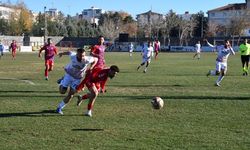 Siverek Belediyespor, Viranşehir Belediyespor ile Yenişemedi