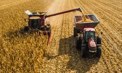 Tarımda Girdi Maliyetleri Yükselişte: Tarım-GFE Yıllık Yüzde 33,66 Arttı
